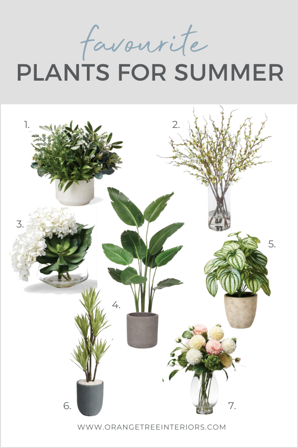 favourite plants for summer