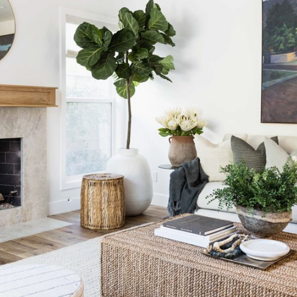 Home Staging with Plants 2023