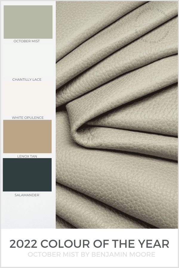benjamin moore colour of the year 2022 colour palette