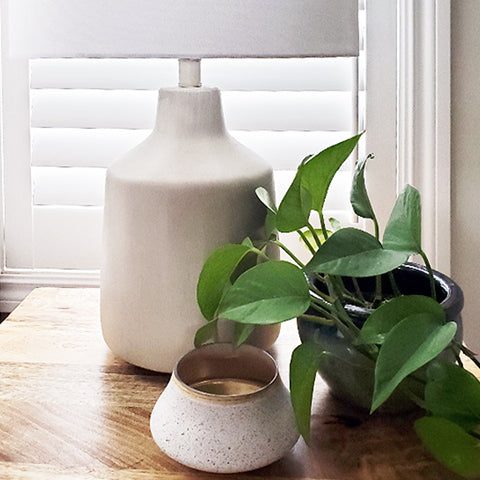 decorate with pothos plant in your home