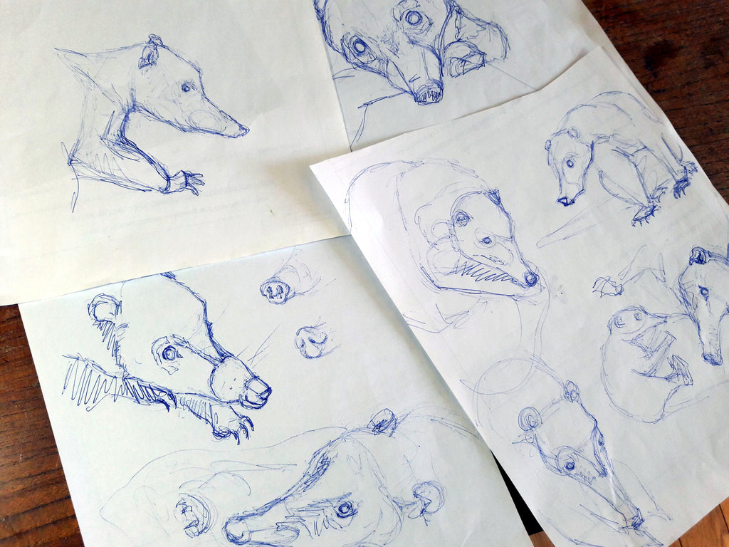 Sketches of Coatis