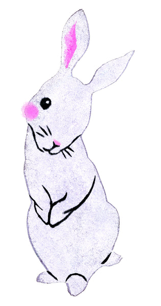 Draft rabbit 