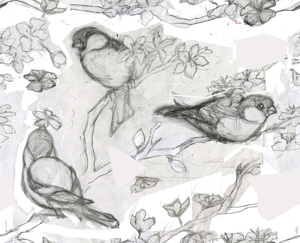 Drawing of bullfinches in cherry blossom