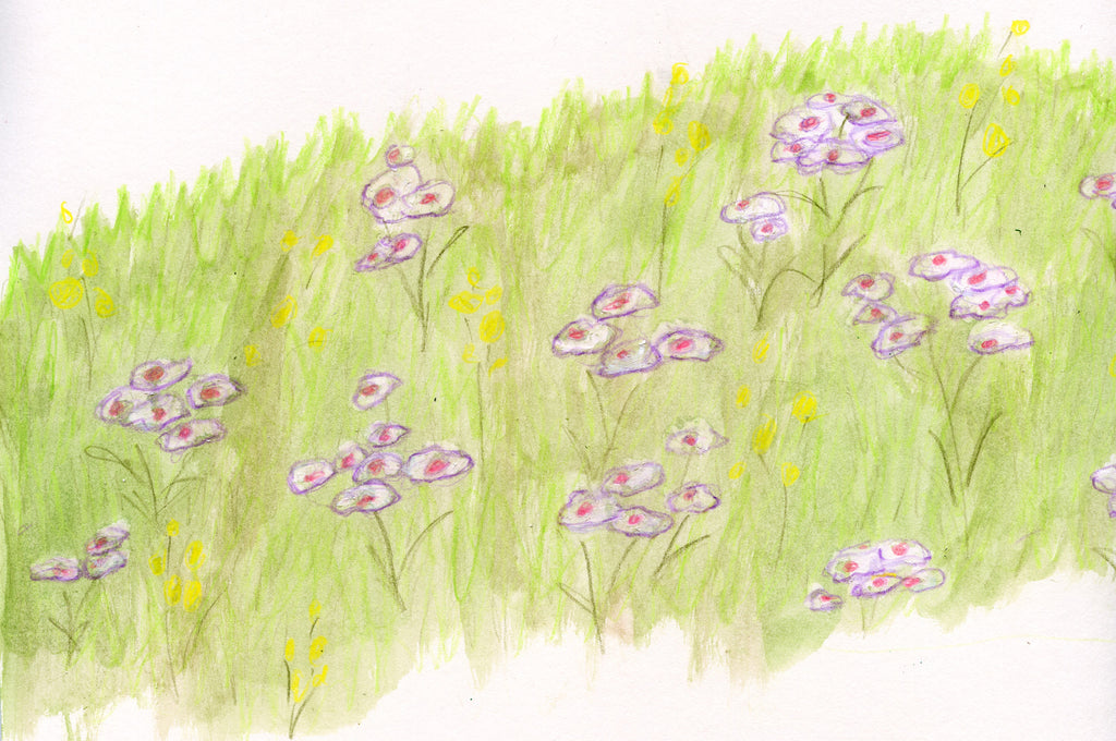 Flower Meadow