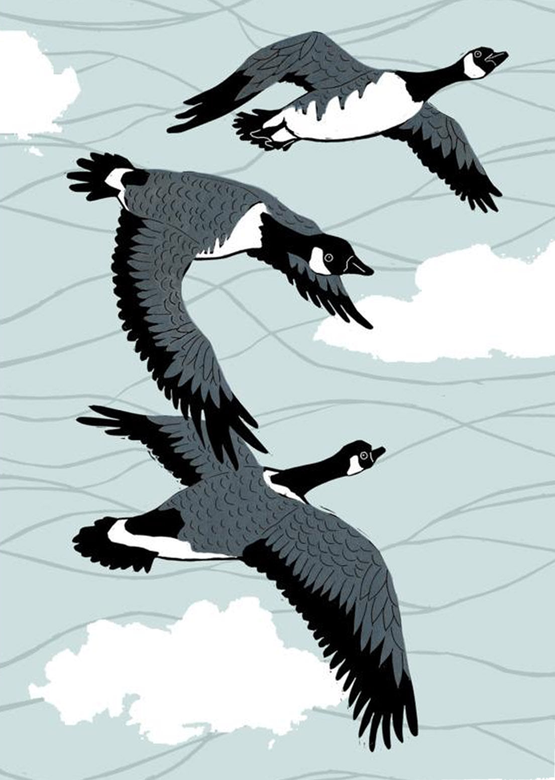 Canadian Geese Poster