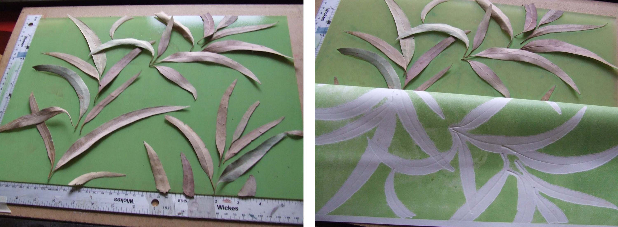 Taking print of leaves on printing press