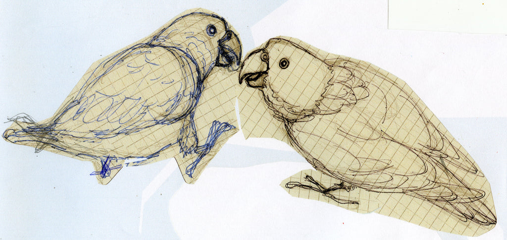 Sketch of Parrots