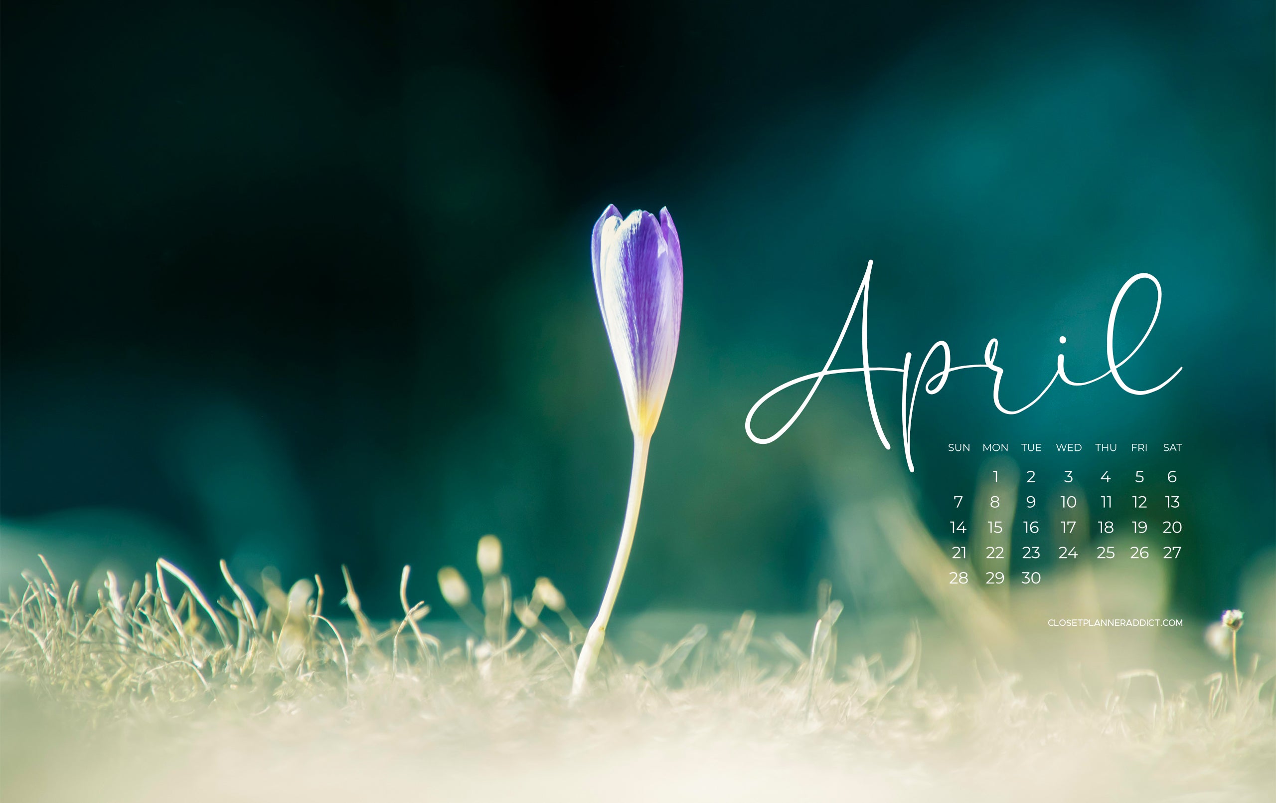 Free April 2024 Wallpapers by Closet Planner Addict