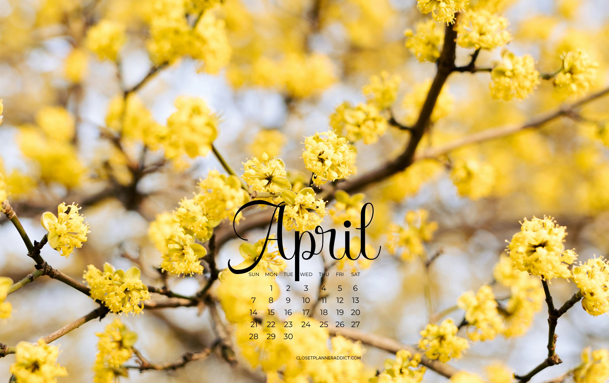 Free April 2024 Wallpapers by Closet Planner Addict