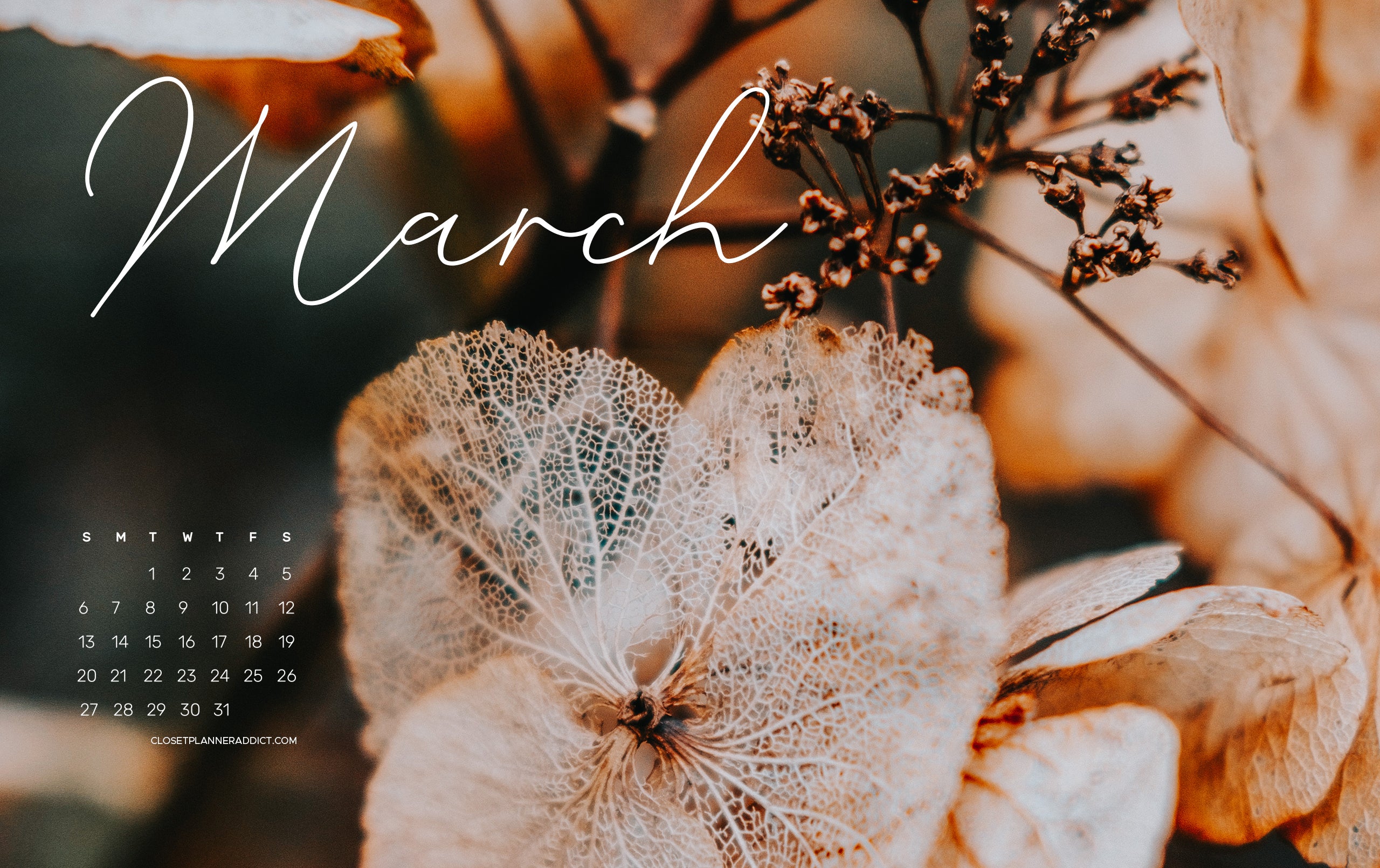 Free download 49 March Desktop Wallpaper on 5333x3000 for your Desktop  Mobile  Tablet  Explore 64 Desktop Wallpapers Calendar March 2015  March  Calendar Wallpaper March 2015 Wallpaper Desktop Calendar Wallpaper March  2016