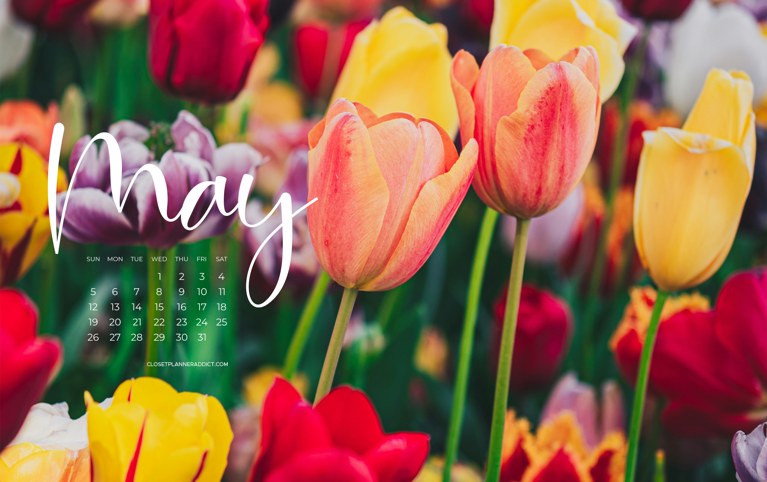 Free Download May 2024 Wallpapers by Closet Planner Addict