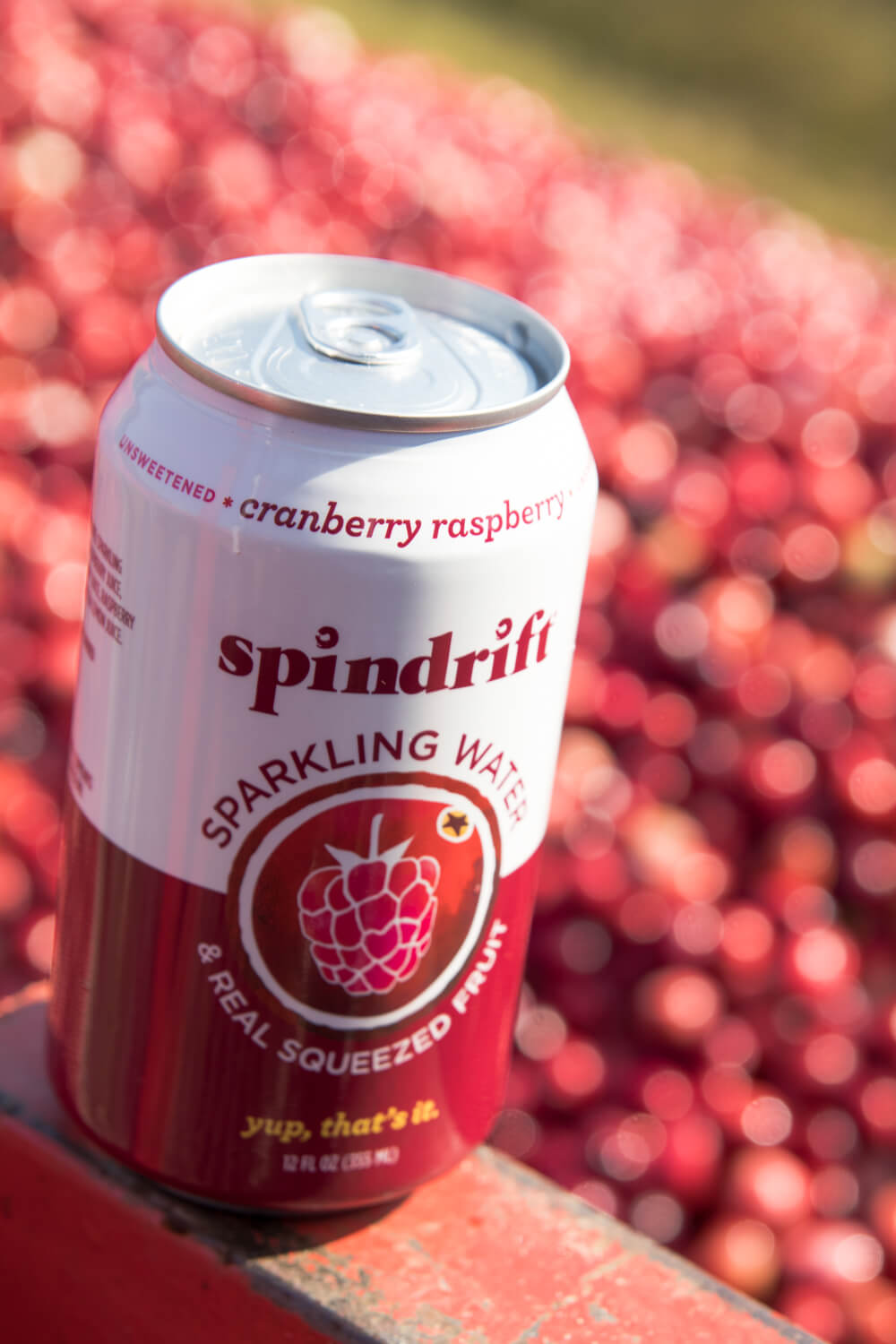 Spindrift Cranberry