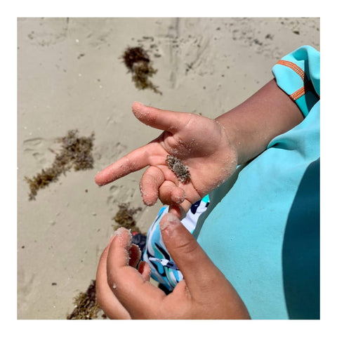 Child hand with small crab