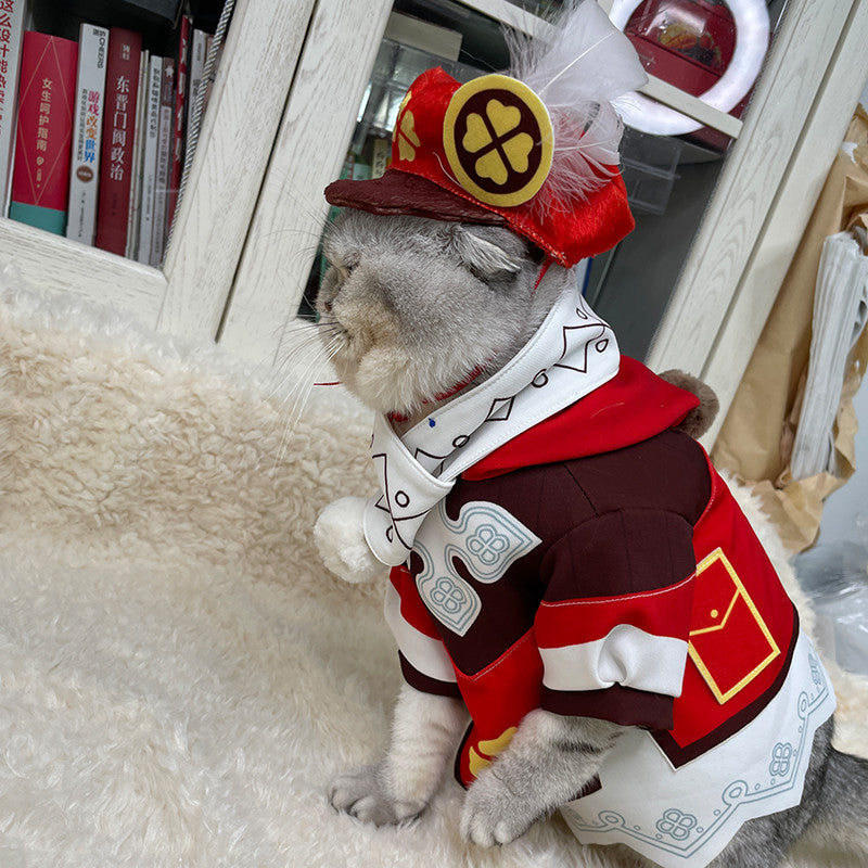 14 Cats Whose Anime Cosplay Is Better Than Yours