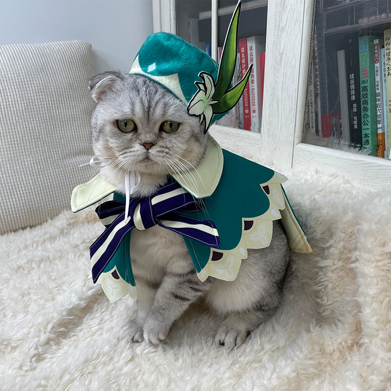 Herere some really cool anime cat costumes you dont want to miss The  Etimes Photogallery Page 24
