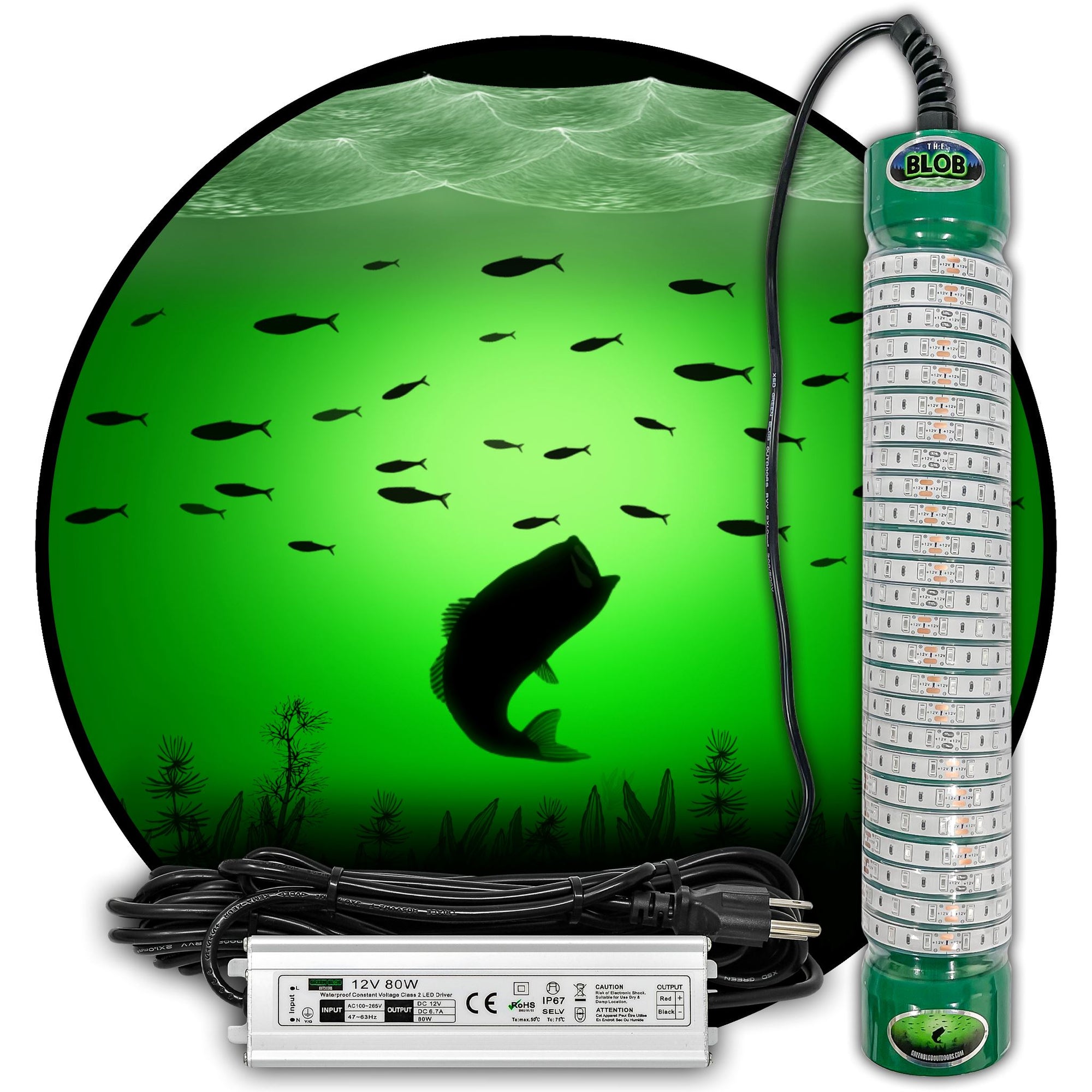 Underwater Green Fishing Light, Banjo Minnow Fishing Lure, Green Light for  Fishing, Lights up When Touching Water, Long-Lasting, Attracts Fish to  Bite-5*RED : : Sports & Outdoors