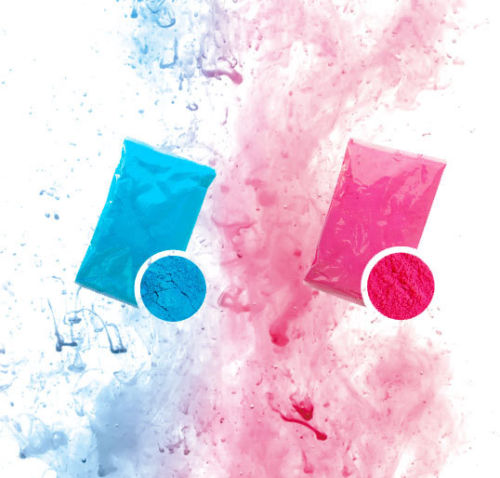 Gender Reveal Powder Cannons [4 Pack]