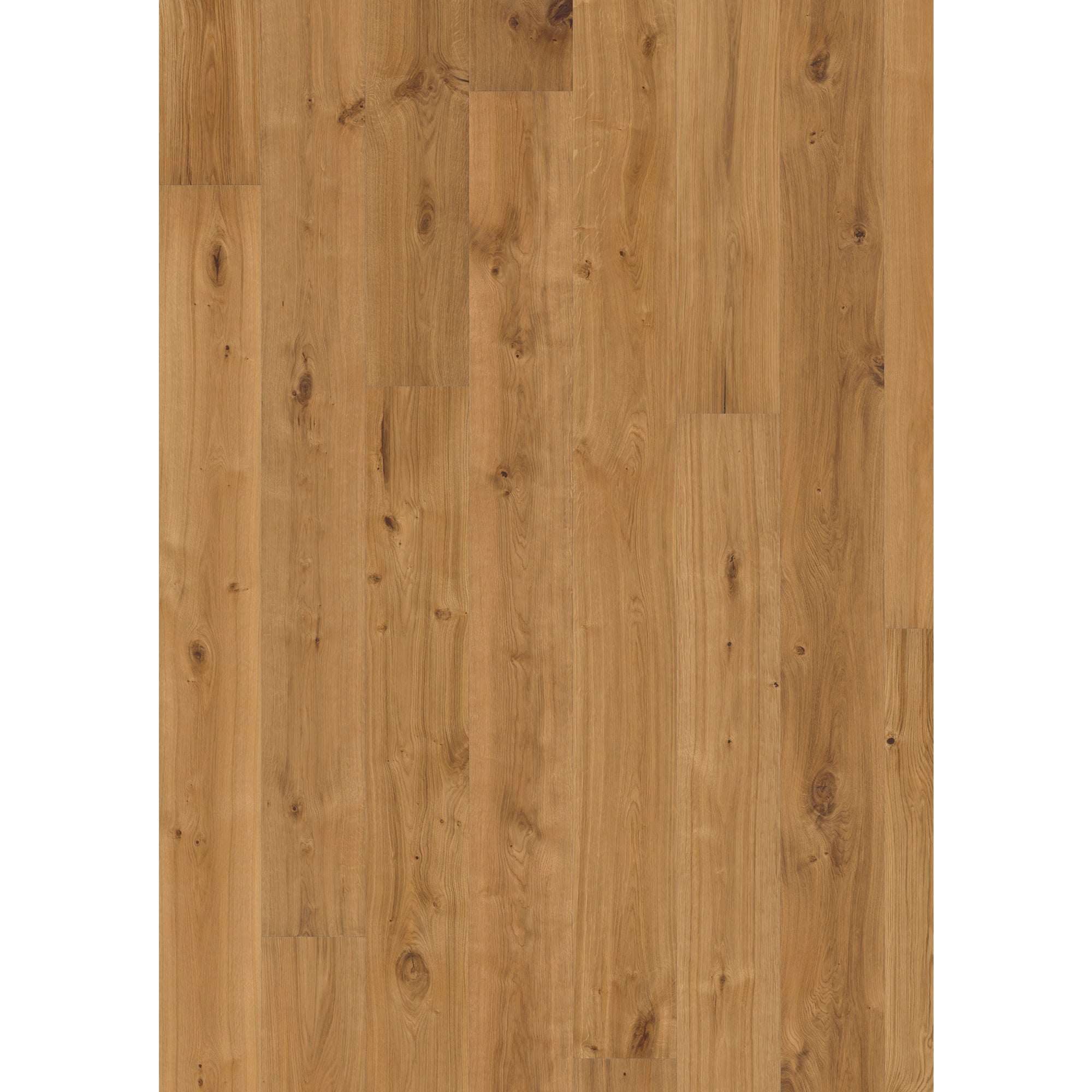 Renaudo.. KCOLOR KAPPAFLOOR VERNICE LUCIDA PER PARQUET KG 1*