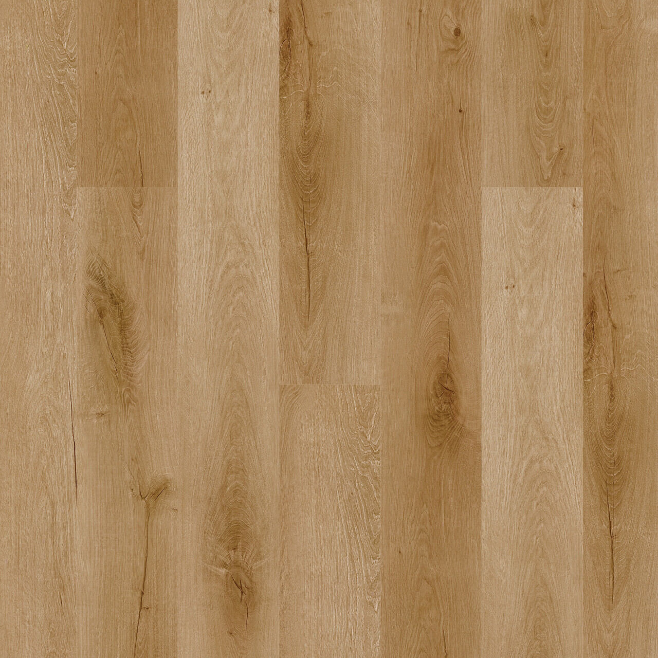 Engineered Floors - Triumph Collection - Renewal - 7 in. x 48 in