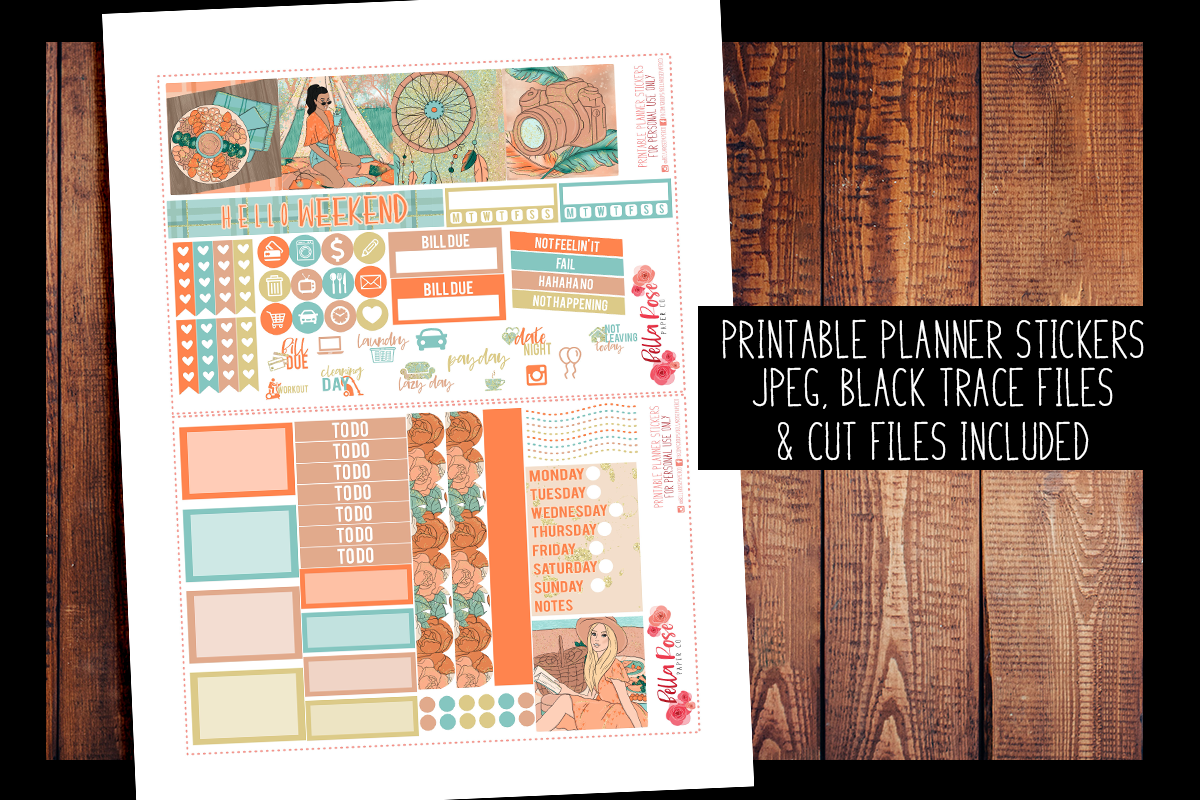 JUNE Monthly Planner Stickers, Printable Planner Stickers, Mini