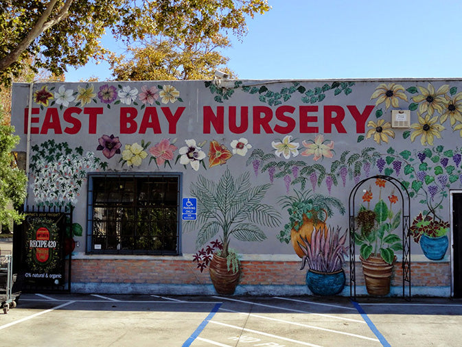 East Bay Nursery plant store cool mural of flowers