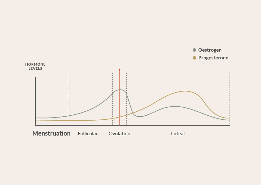 CYCLES GRAPH MENSTRUATION