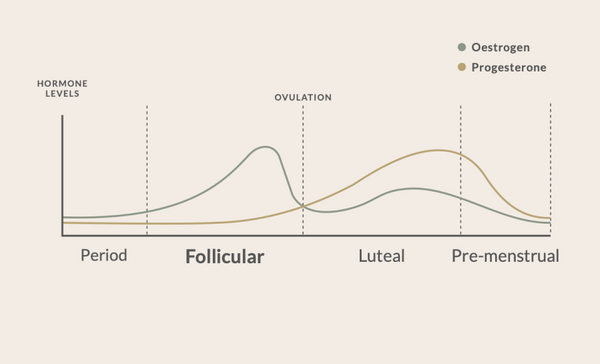 HOW TO CYCLE-SYNC TO BALANCE YOUR HORMONES: FOLLICULAR PHASE