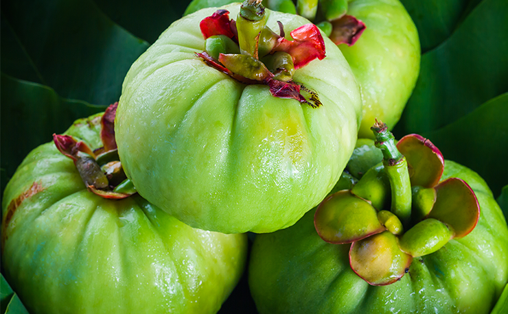 garcinia cambogia cause bad breath