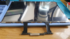 A1706 Screen Fault Replacement
