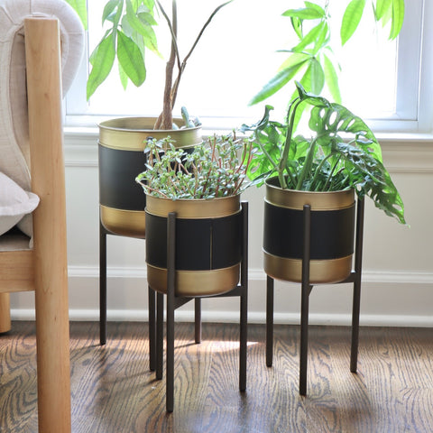 Three gold and black planters on stands near a window.