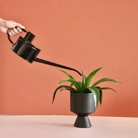 Hand watering a plant with a black watering can