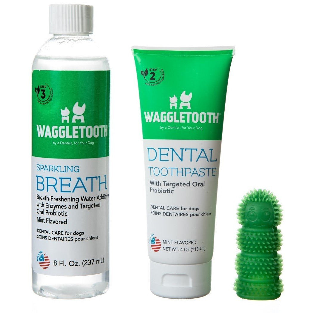 dog toothpaste and toothbrush kit