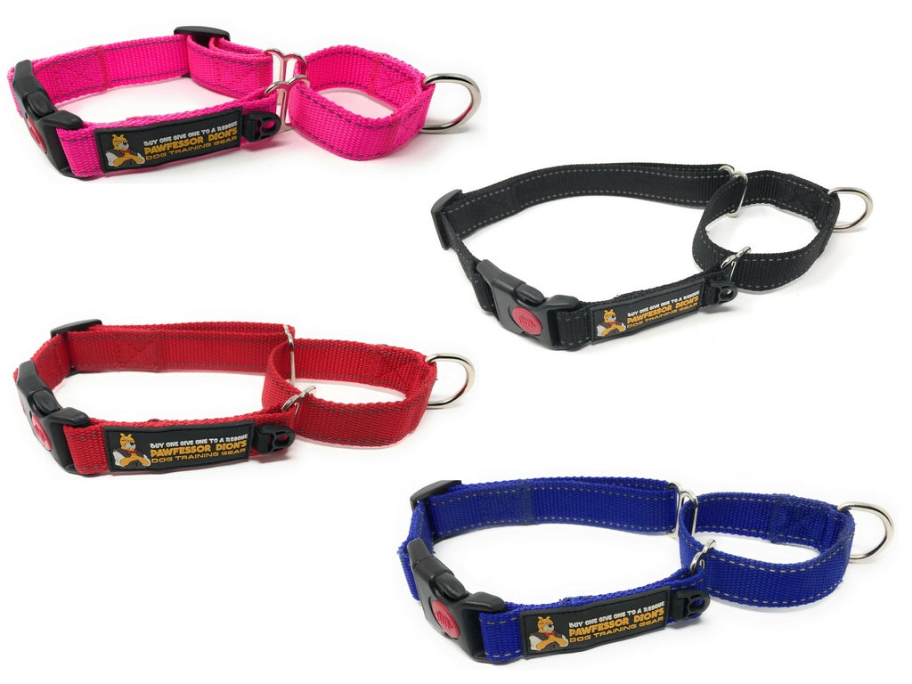 dog training collars