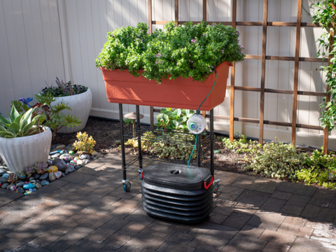 Elevated Mobile Planter