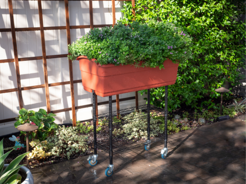 Elevated Garden Bed