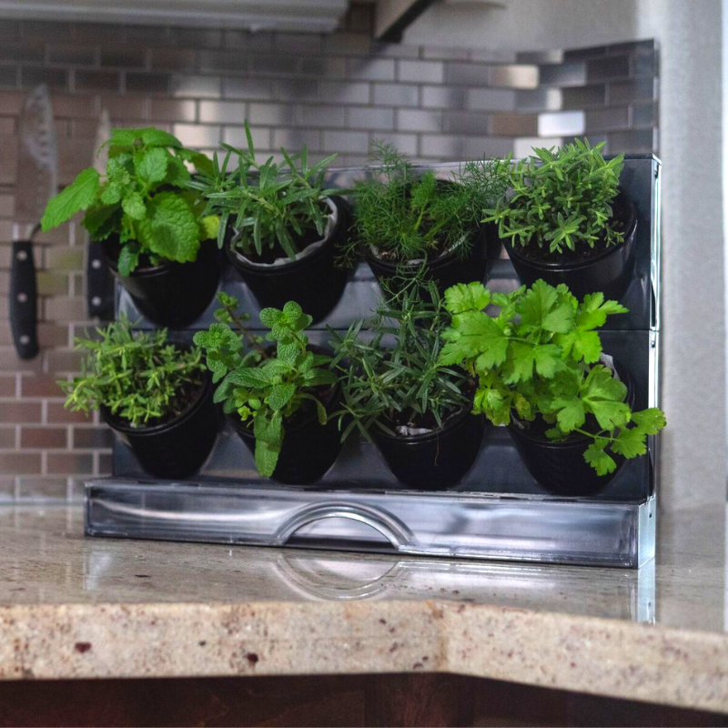 Pixel Kitchen Countertop Garden Watex