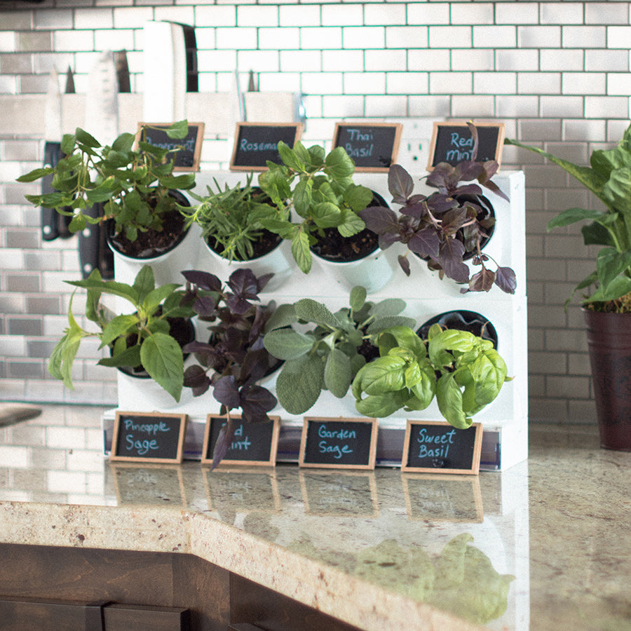 Watex Countertop Garden , Indoor gardening