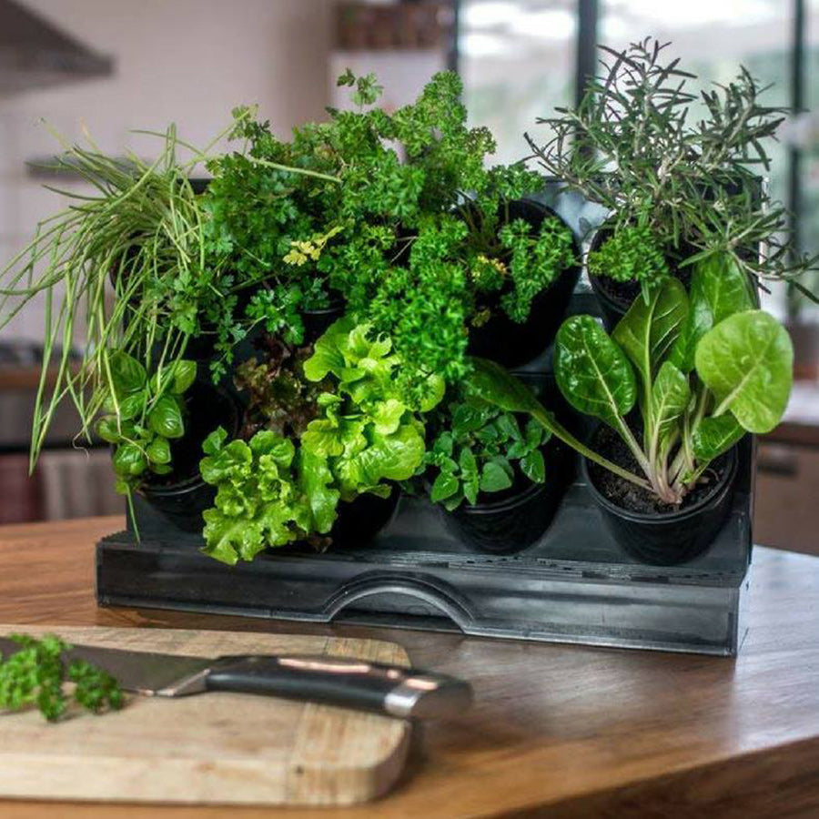 Pixel Kitchen Countertop Garden Watex