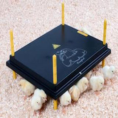 CHICKPLATE_CHICKEN_BROODER_BROOKFIELD_POULTRY_EQUIPMENT