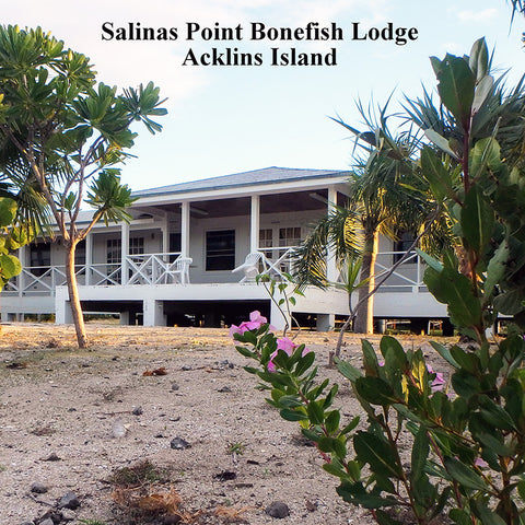 Salinas Point Bonefish Lodge