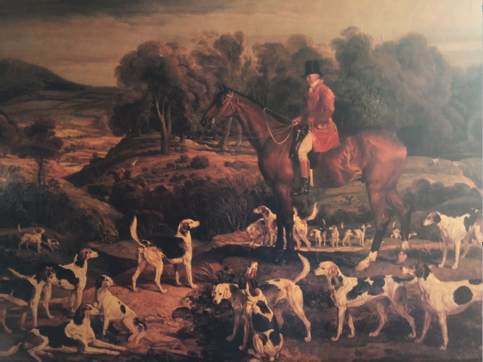 The Fox Hunt