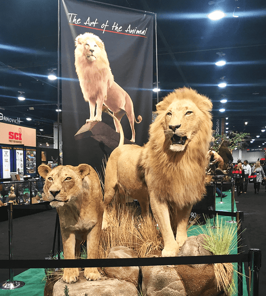 SCI Art of the Animal - Lions