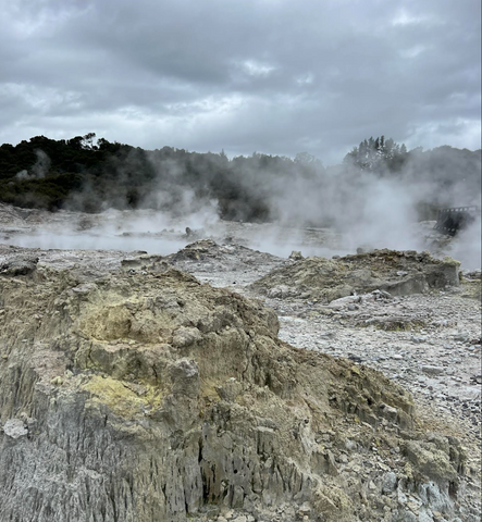 An image of Hell's Gate Geothermal Reserve in Rotorua, New Zealand, showing a variety of geothermal features. In the foreground, there is a pool of steaming sulfur water, surrounded by rocks and steam rising from the surface. In the background, there are bubbling mud pools and geysers shooting up from the ground. The landscape is barren, with rocks and mud surrounding the geothermal features. The atmosphere is eerie and otherworldly, with the steam and sulfur adding to the overall atmosphere.
