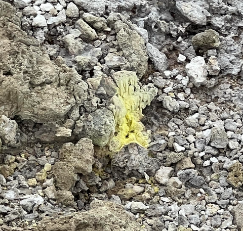 An image of yellow sulfur deposits growing in a geothermal reserve in New Zealand. The deposits are located near hot springs, and have formed into various shapes and textures due to the geothermal activity in the area. The bright yellow color of the sulfur deposits contrast with the dark rocks surrounding them, making them visually striking.