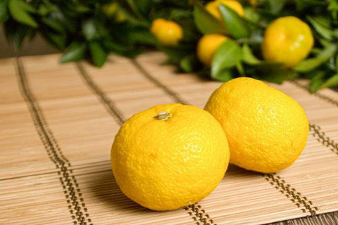 Japanese Yuzu: The Nation's Favorite Citrus Fruit