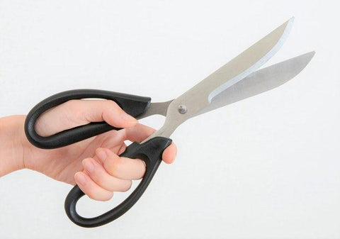 MIMATSU Stainless Steel Take-Apart Kitchen Scissors - Globalkitchen Japan