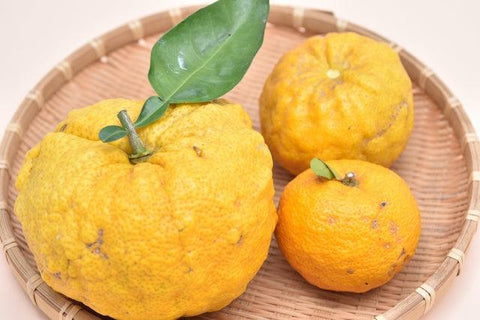 What Is Yuzu Fruit and How Does It Taste (Ultimate Guide