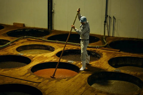 Making soy sauce moromi in adachi factory