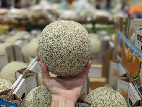 Hokkaido Melon