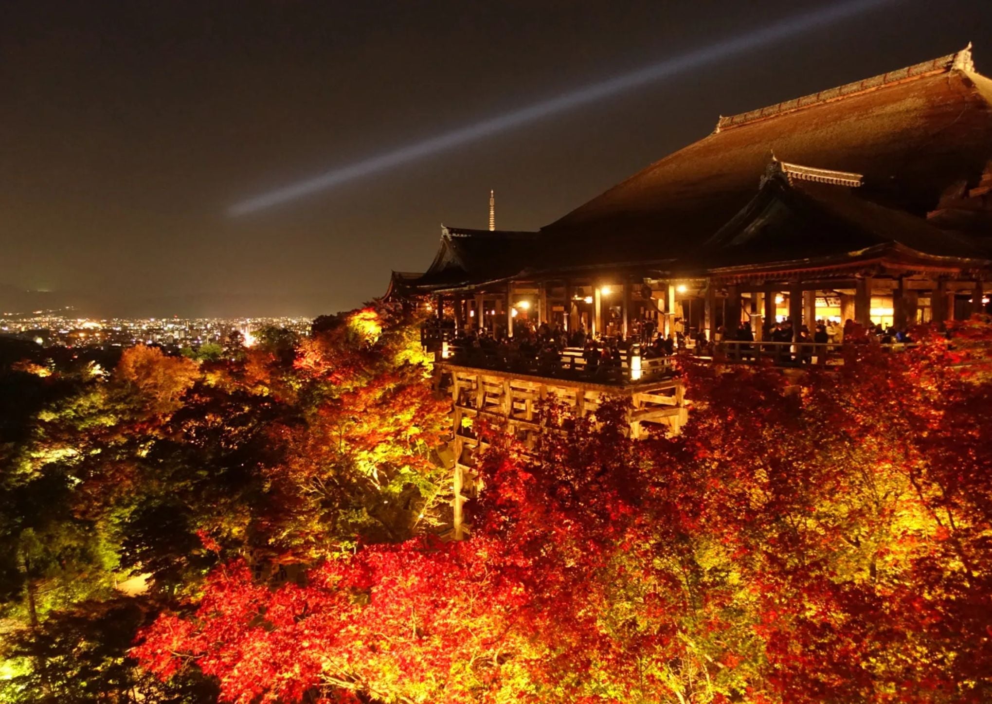 Spring &amp; Autumn – Nighttime Illuminations